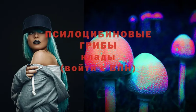 Псилоцибиновые грибы Magic Shrooms  как найти закладки  Боровичи 